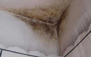 Обработка бетона от плесени